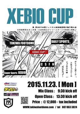 2015.11.MIX&OPEN XEBIO&デイリースポーツ&CSFN.jpg